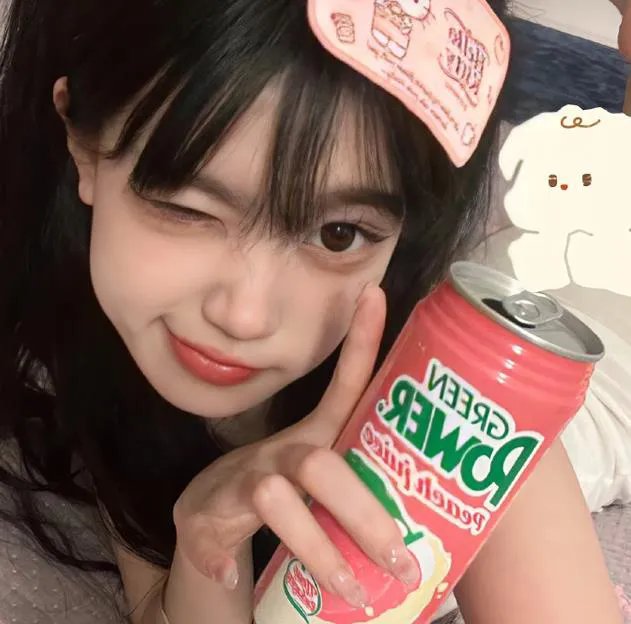 欢迎来到丛林