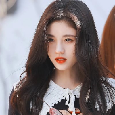 海龟故事